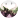 Opal